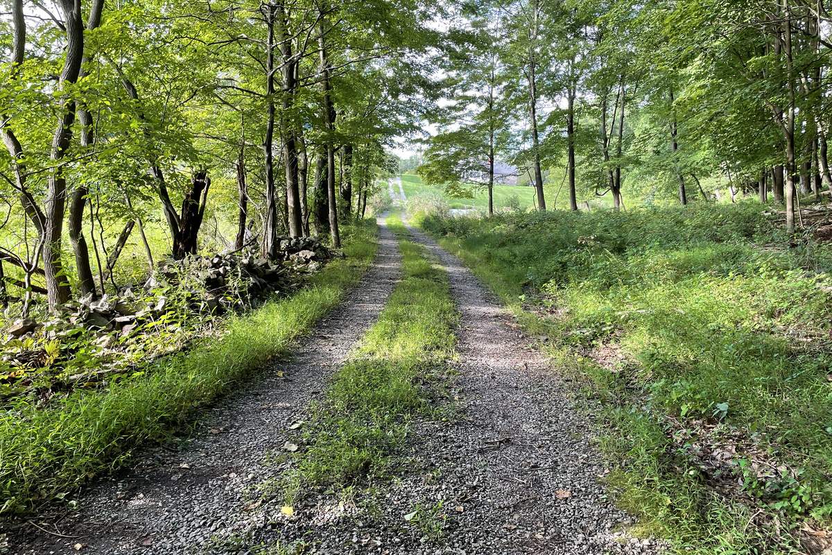 Enjoy a beautiful nature trail right steps from your apartment