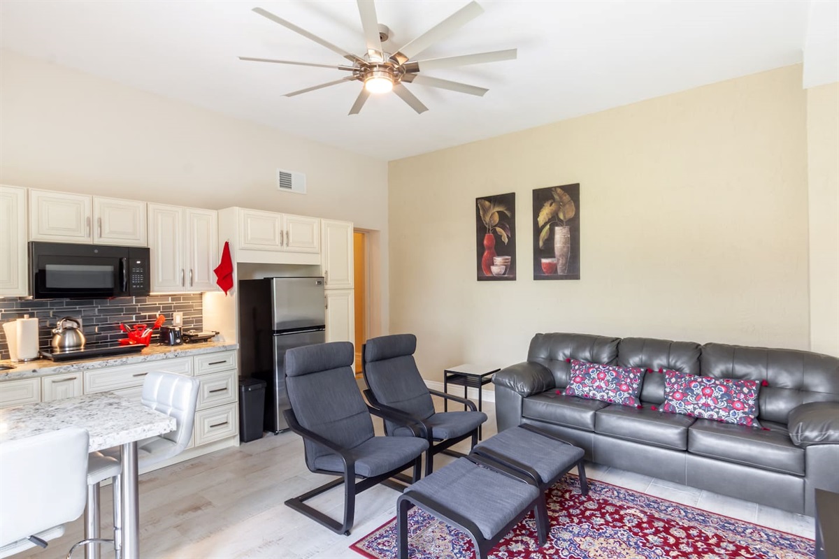 Kitchen / Living room combo