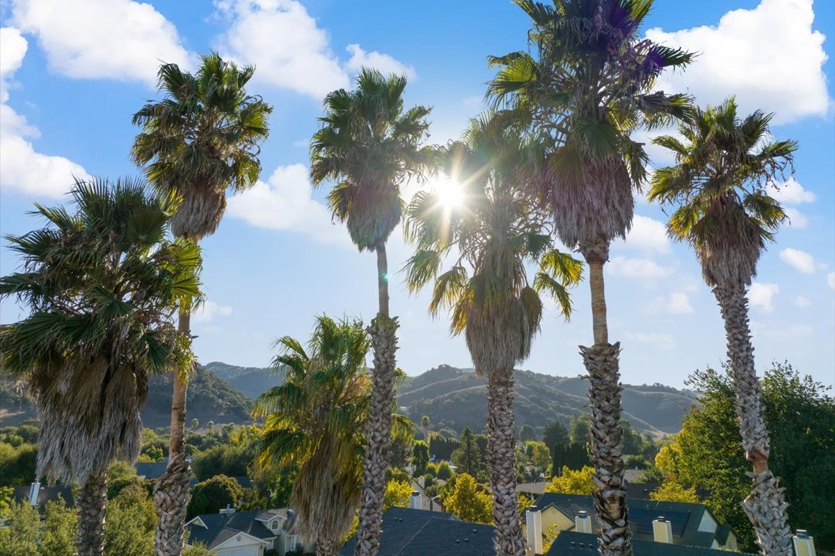 Huge yard with plenty of activities for the whole group and plenty of space to enjoy some quiet relaxation on your own.