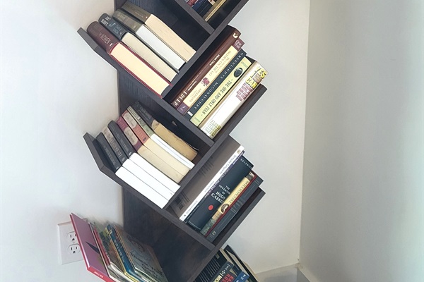Tall bookshelf stocked with a variety of novels, fiction, and family favorites, perfect for cozy afternoons or rainy days. Guests are welcome to borrow any book during their stay and enjoy a peaceful reading moment in the cabin.