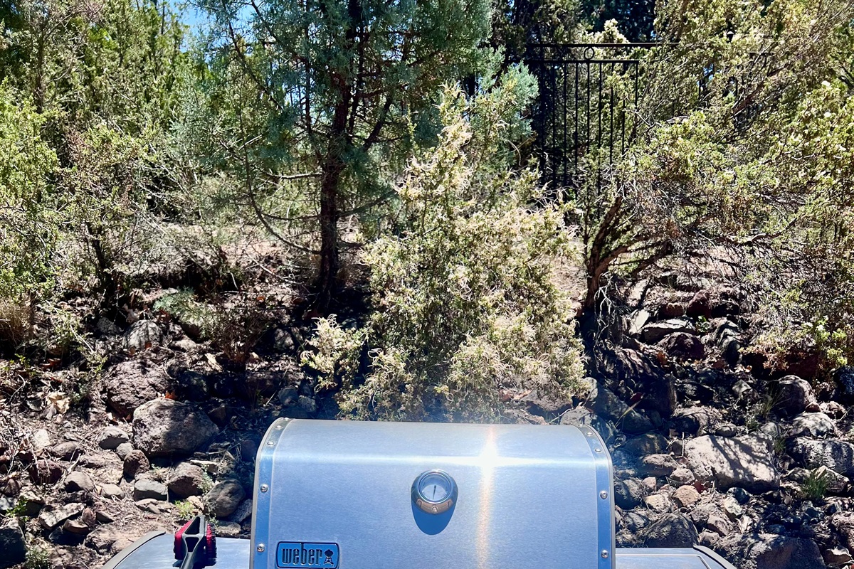 Fire up the full-size Weber propane grill and enjoy delicious BBQ meals on the patio!