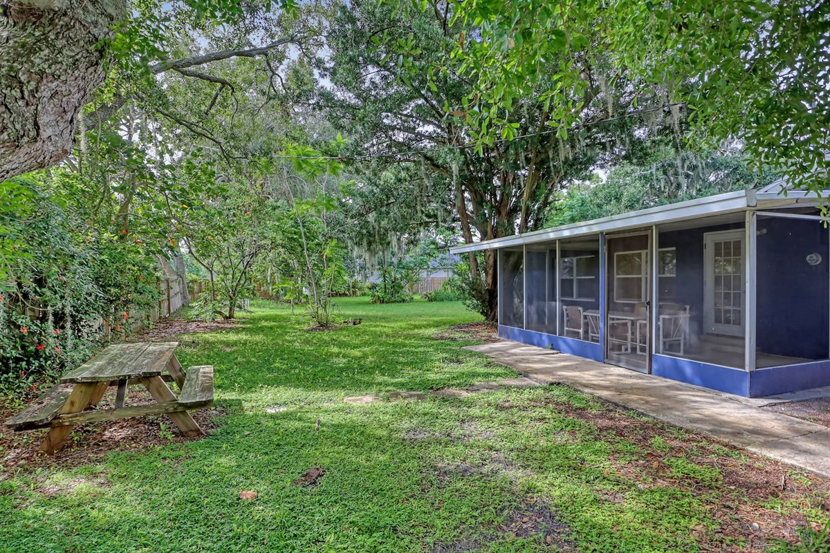 Backyard
