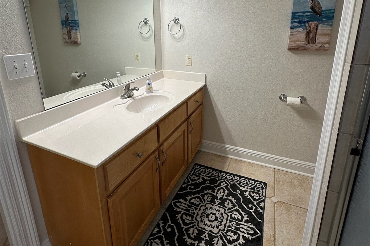 Guest bathroom-Downstairs