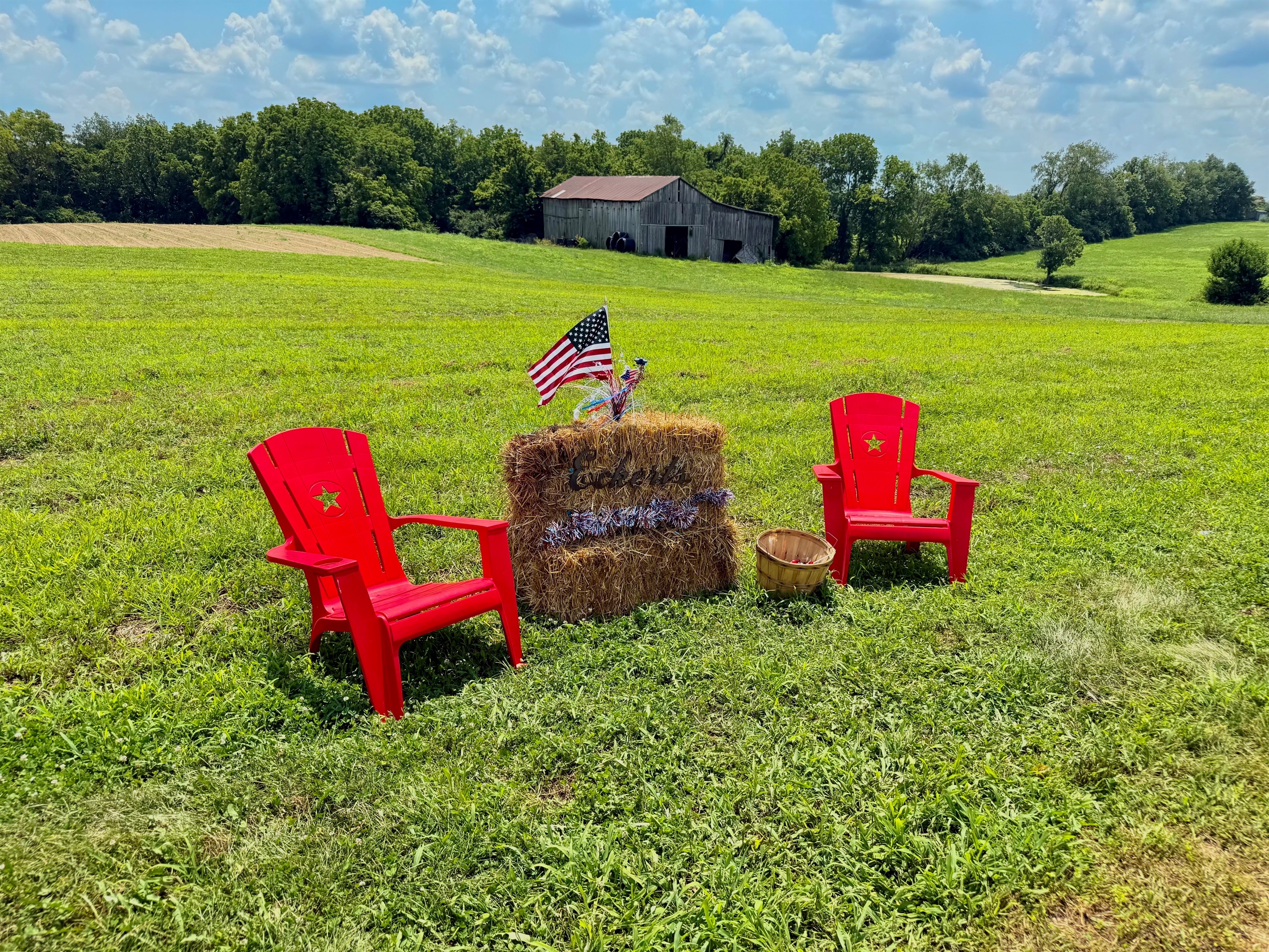 Gather fruits by day, enjoy cider donuts at the farm store, and soak up seasonal fun at Eckert’s in Versailles.