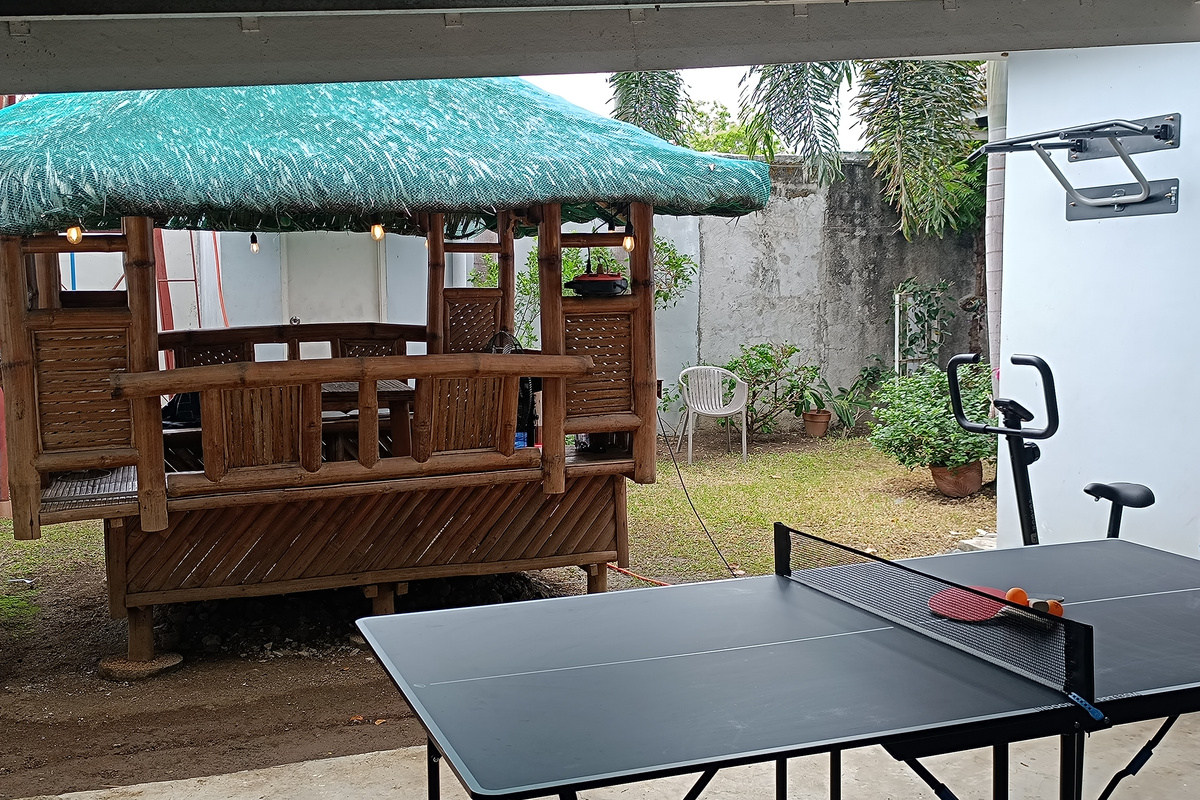 Ping Pong/Exercise Bike/Pull Up Bar