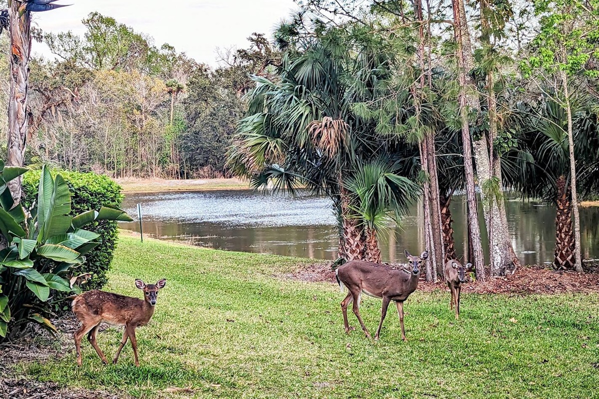 And this lovely family usually comes to visit us!