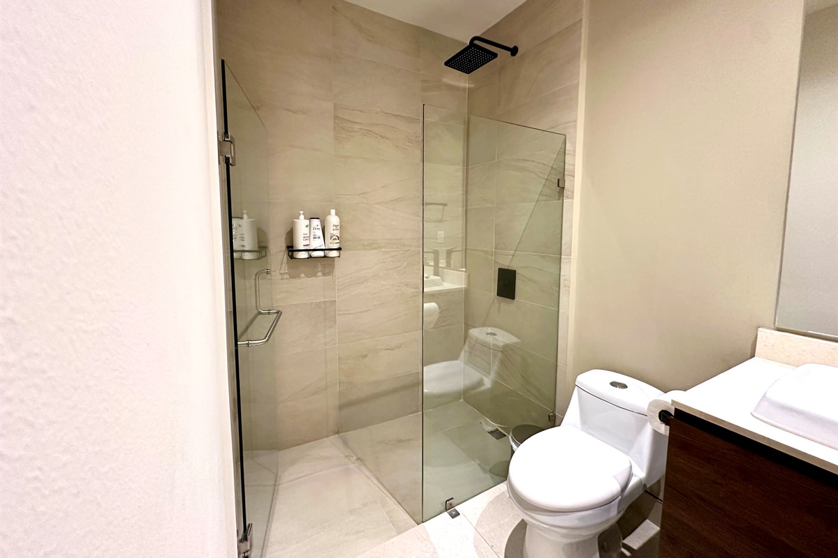 Master Bathroom 2
