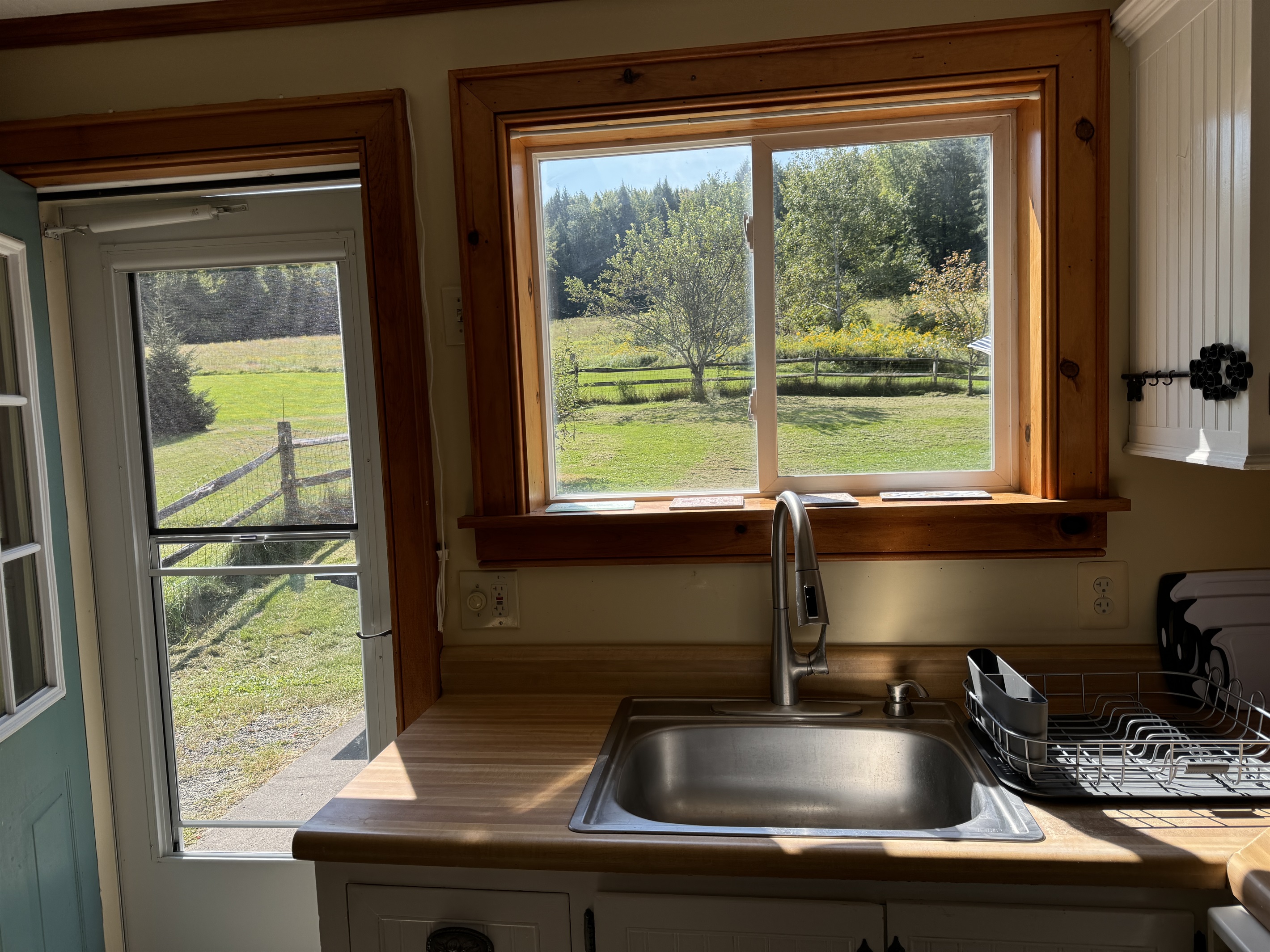 Backyard views from the sink