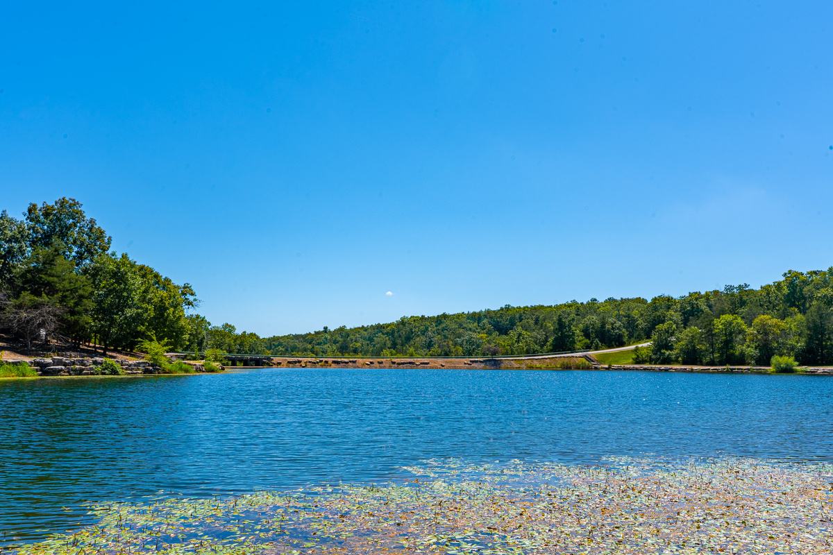 Summer days are even better by the water. Enjoy fishing and beautiful Ozark scenery right here at the resort.