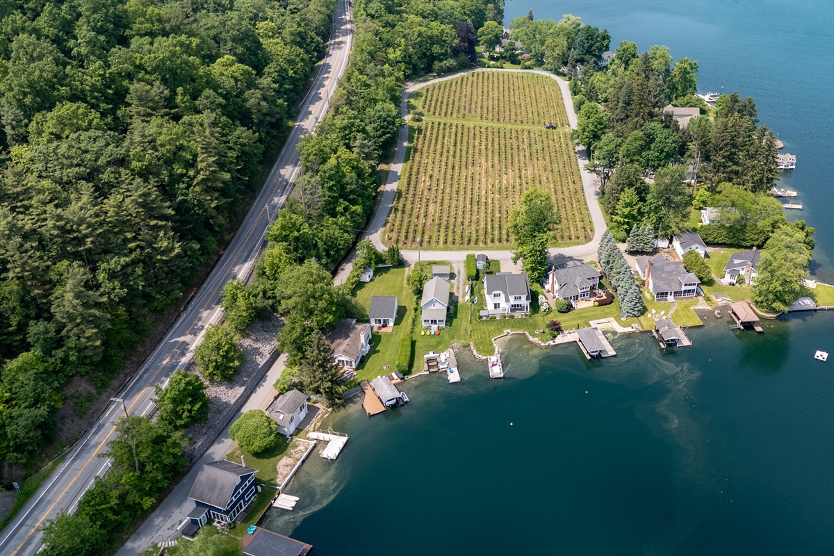 A stunning aerial view of lakeside living meets vineyard charm—private docks, waterfront homes, and lush grape rows create the perfect Finger Lakes retreat.