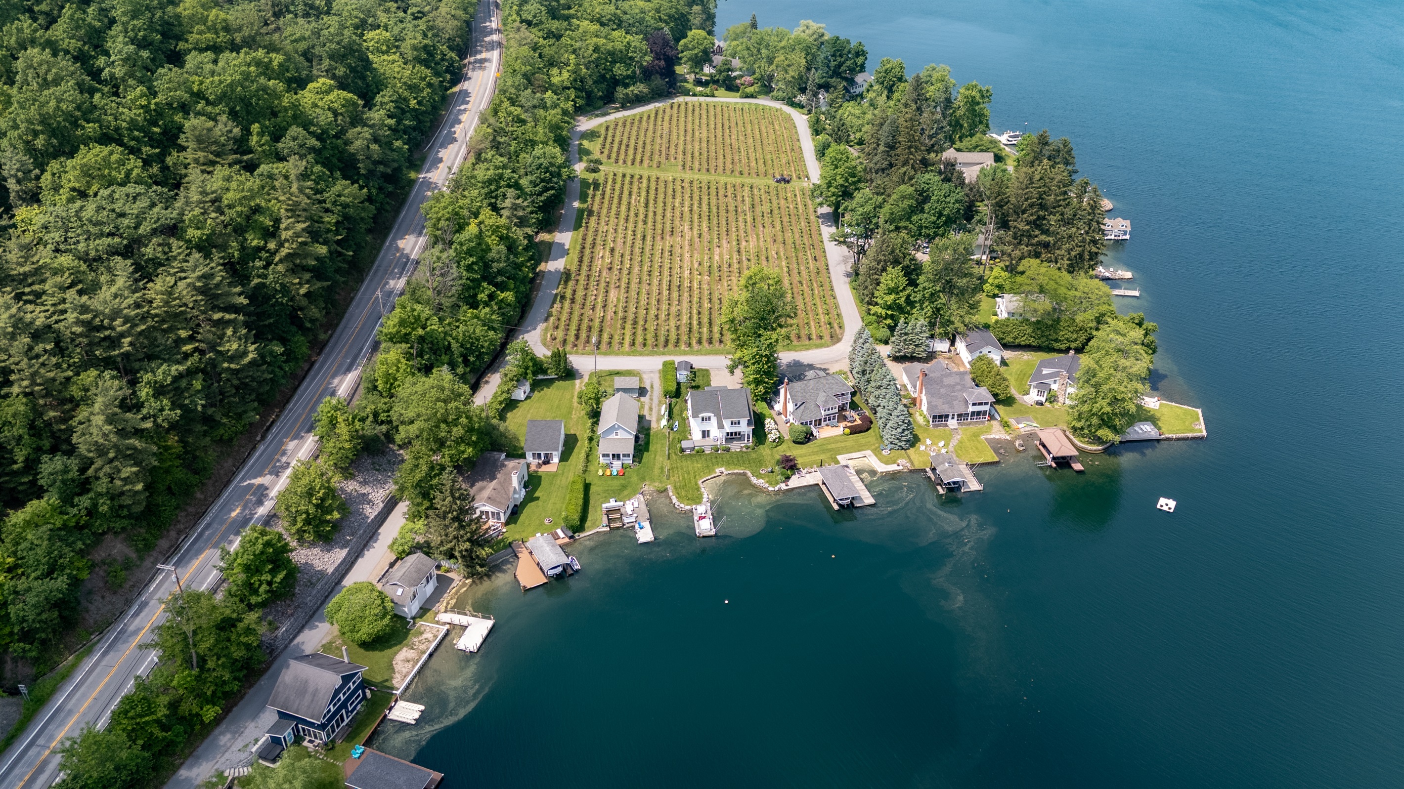 A stunning aerial view of lakeside living meets vineyard charm—private docks, waterfront homes, and lush grape rows create the perfect Finger Lakes retreat.