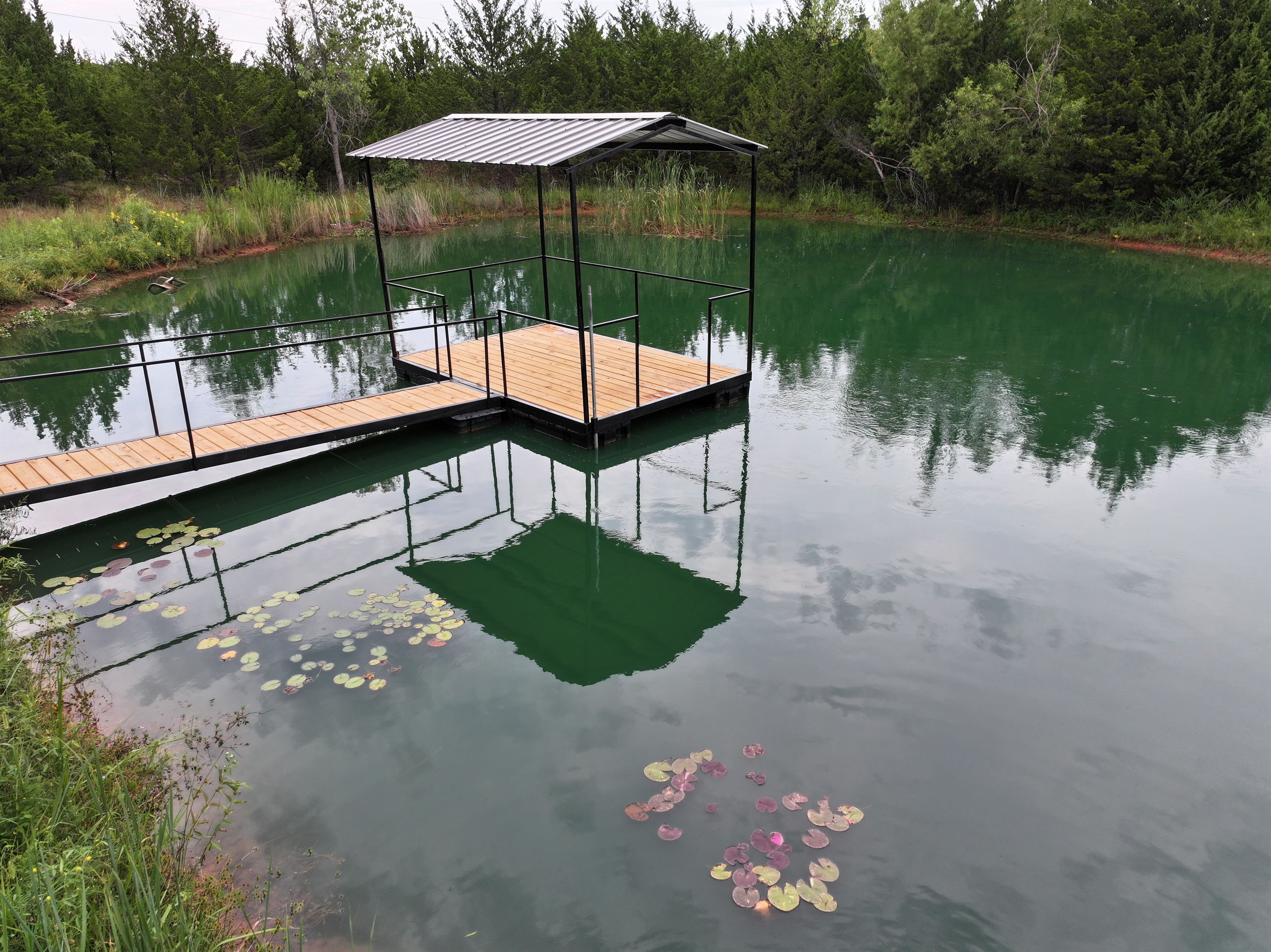 Feed the fish at the Small Pond