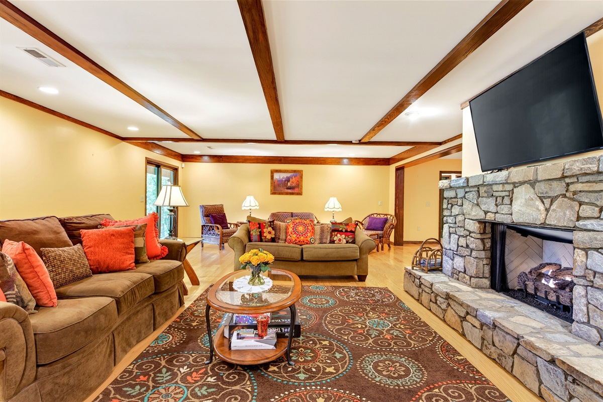 Cozy lower level living room