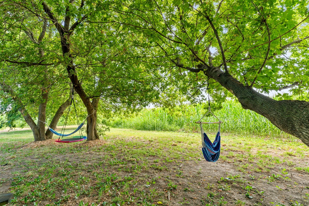 Kick back in hammocks and hanging chairs shaded by trees for the ultimate relaxation.