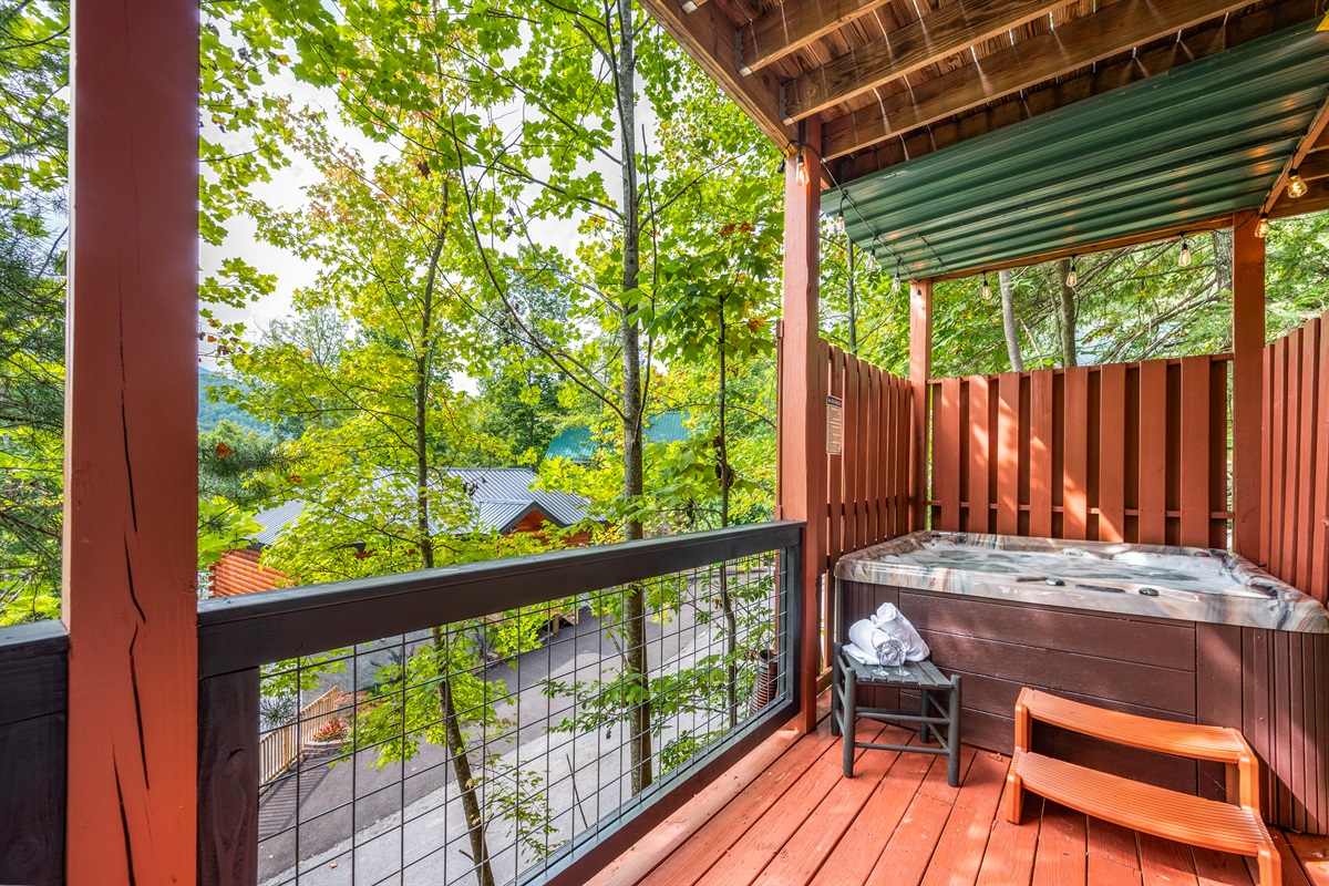 Deck with Hot Tub (lower level)