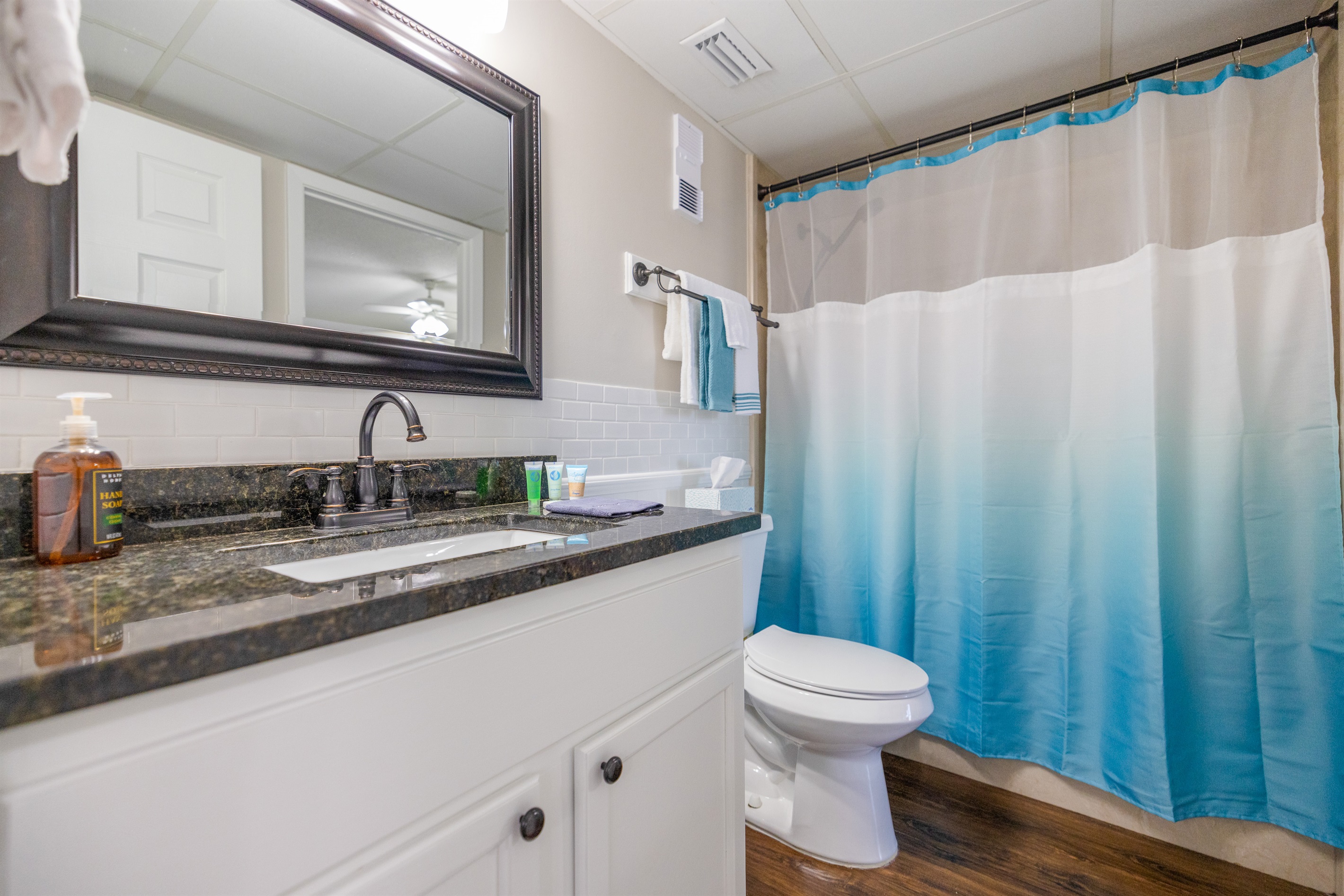 Guest bathroom