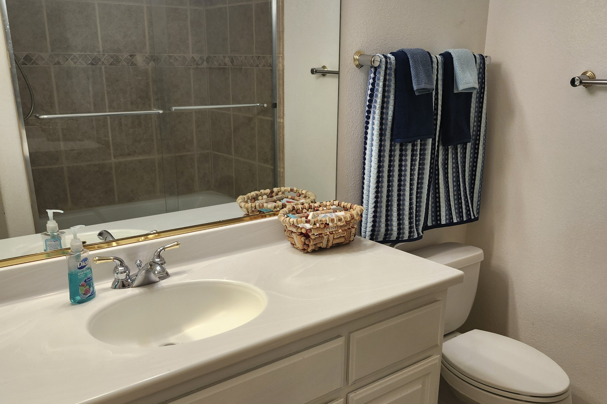 Guest bathroom