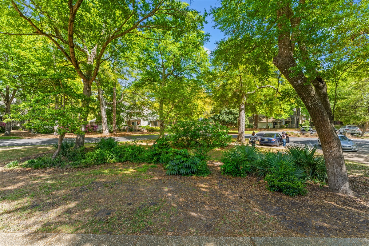 Lush Resort grounds and pathways