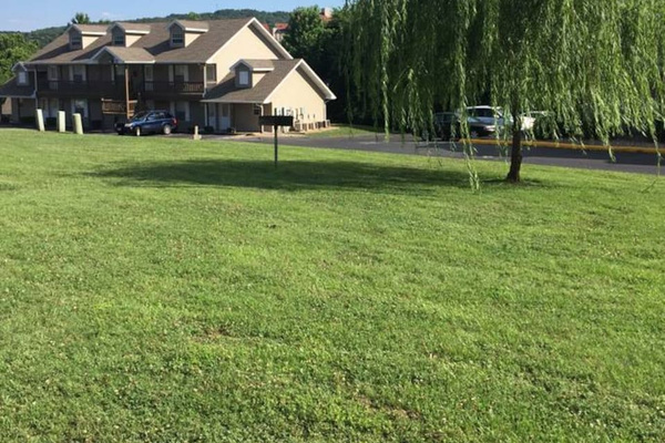 Large Open Area~View From Patio
