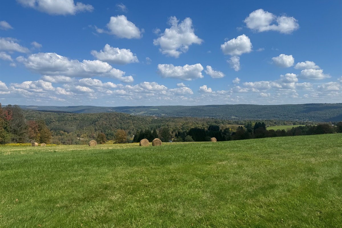 Hills, haybales and happiness!
