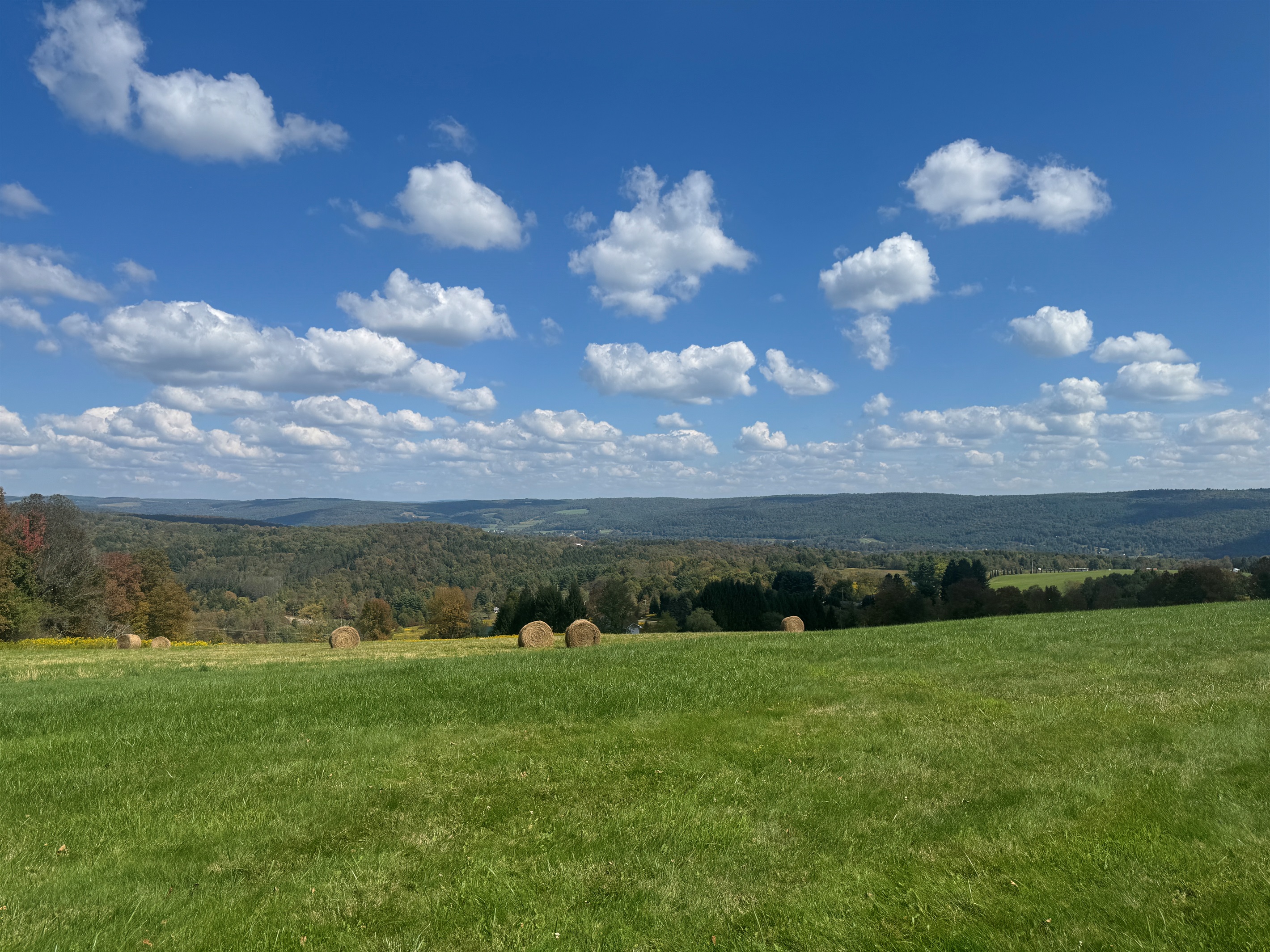 Hills, haybales and happiness!