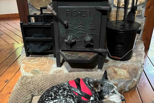 Snoozing in front of wood stove