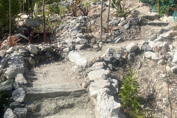 Travel up the steps cut into the hill and enjoy a separate route to the wooded area.  Don't miss the passion fruit vine.