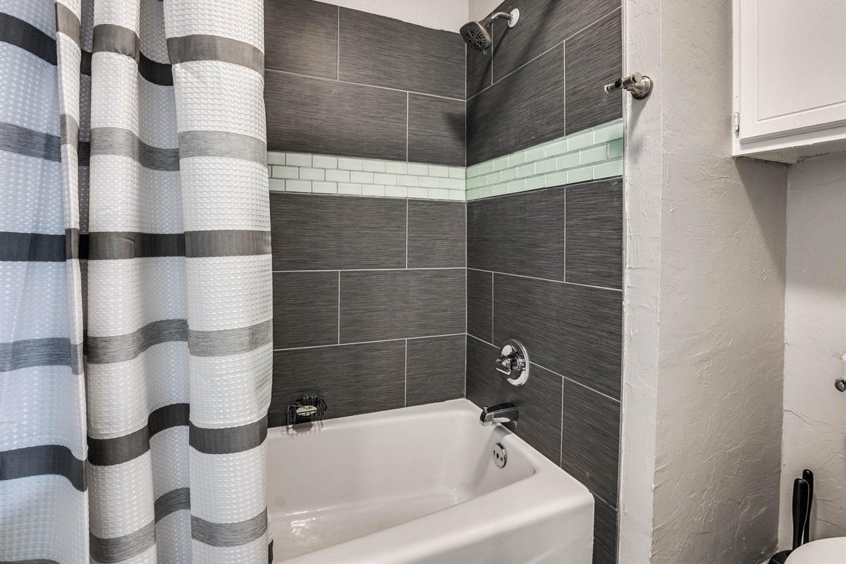 Guest Bathroom 1