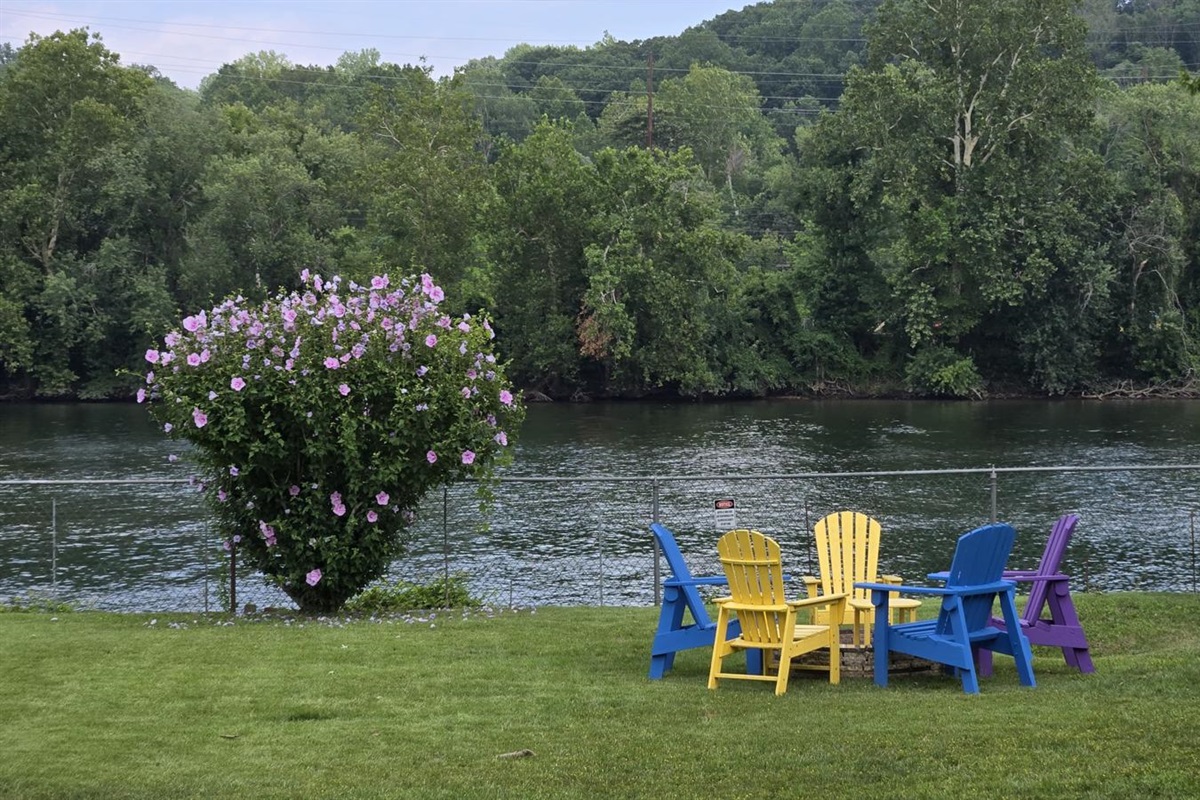 Unwind where colorful comfort meets nature. Relax, recharge, and feel at home!