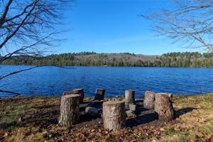 Lakeview with firepit and log chairs