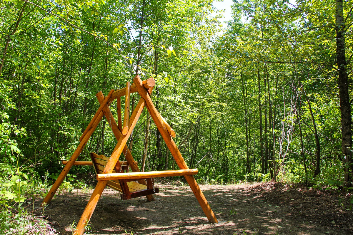 Relax in the swing in your own private backyard, sitting amongst wild berries, cherry trees, and other natural vegetation.