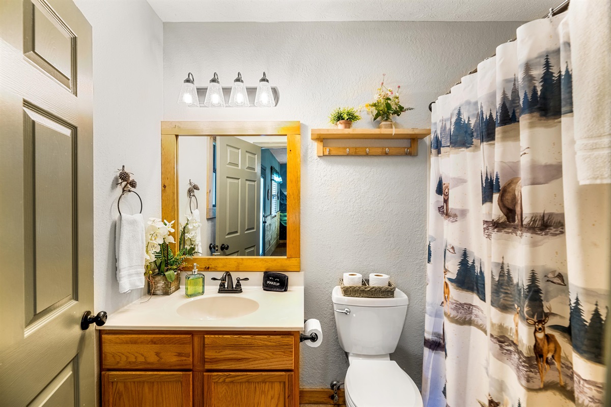 Ensuite bathroom in bedroom #2