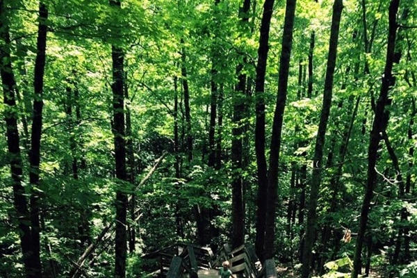 Walking Trails at Stone Mountain