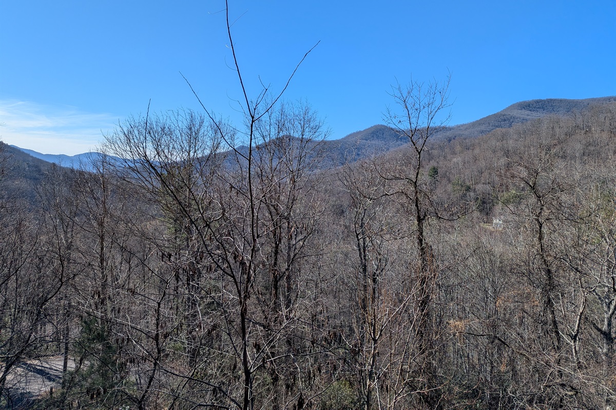 View from the back deck in the Winter