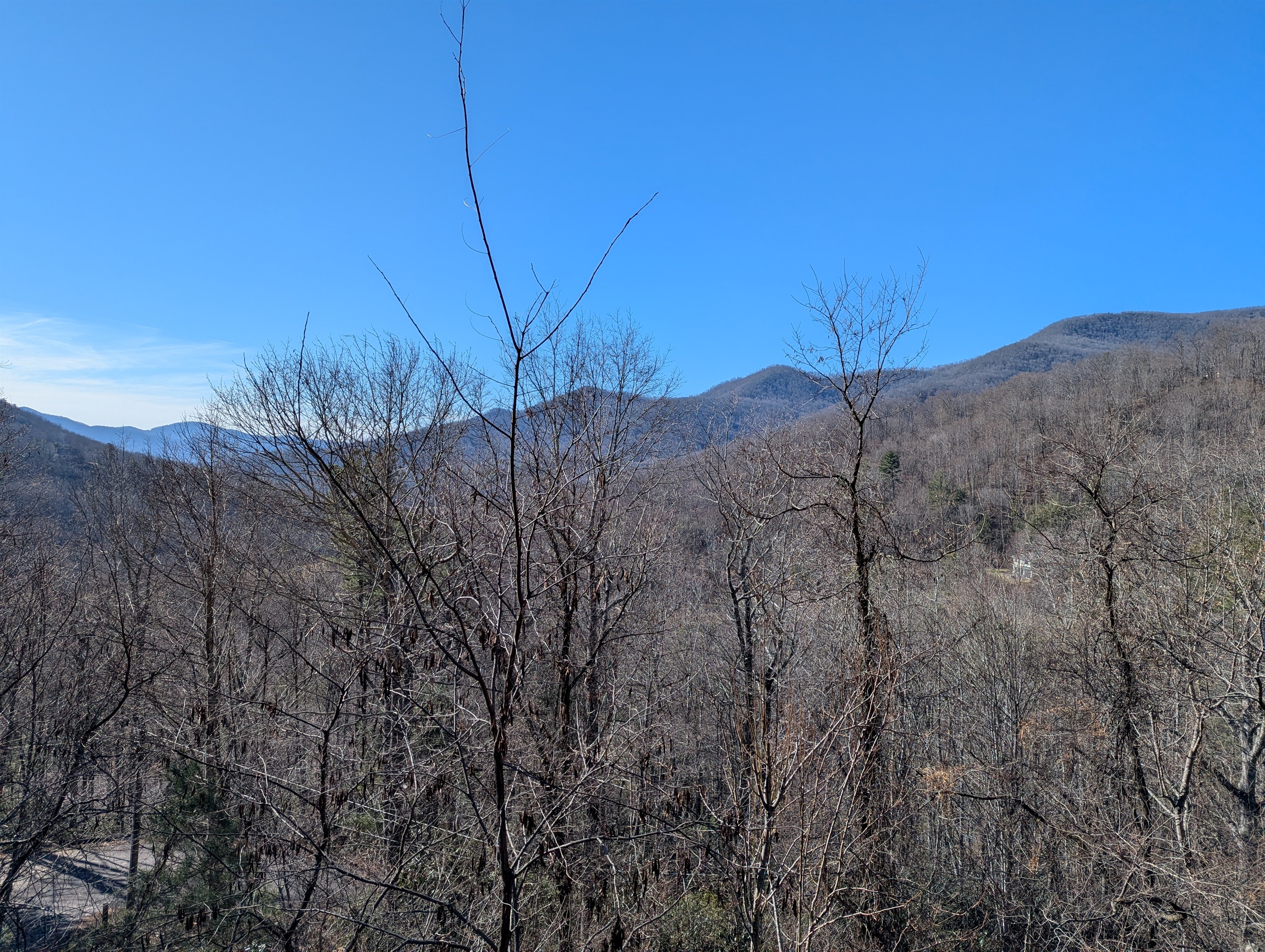 View from the back deck in the Winter