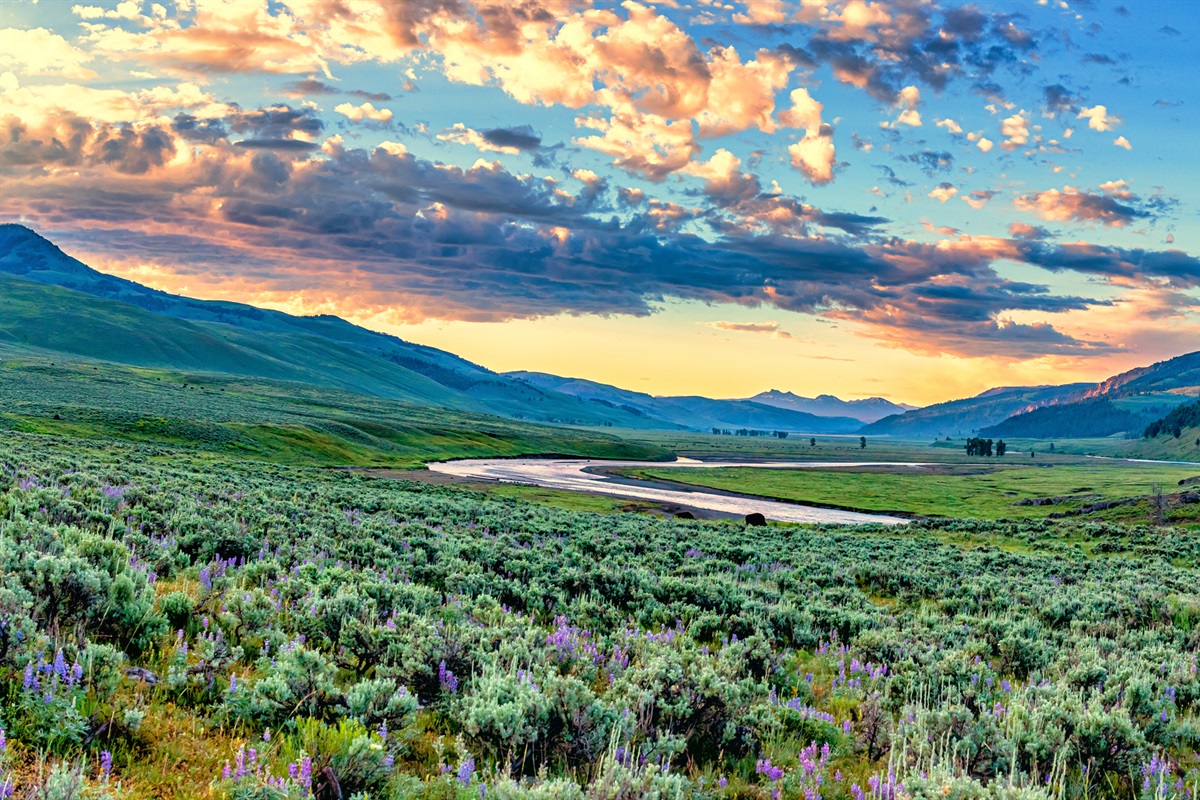 Lamar Valley, Yellowstone