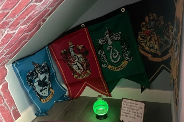 Harry Potter Bed In Second Bedroom