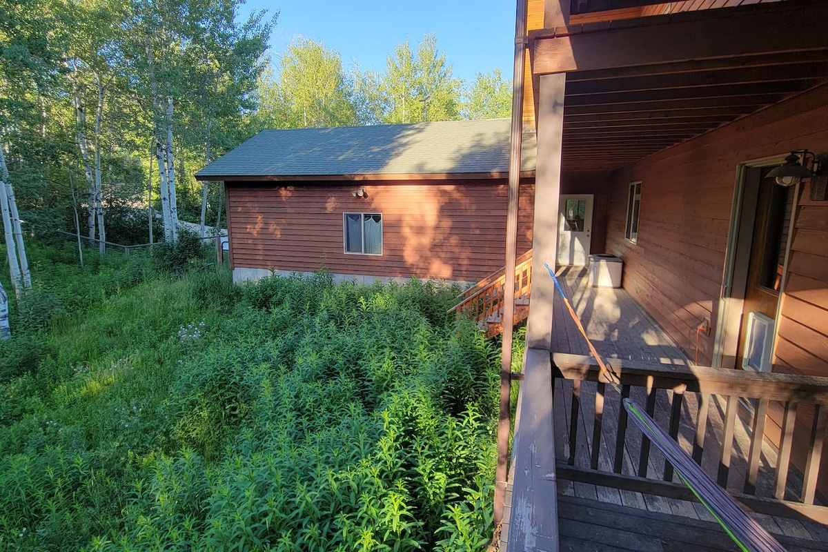 Fenced backyard accessible via dog door in laundry room