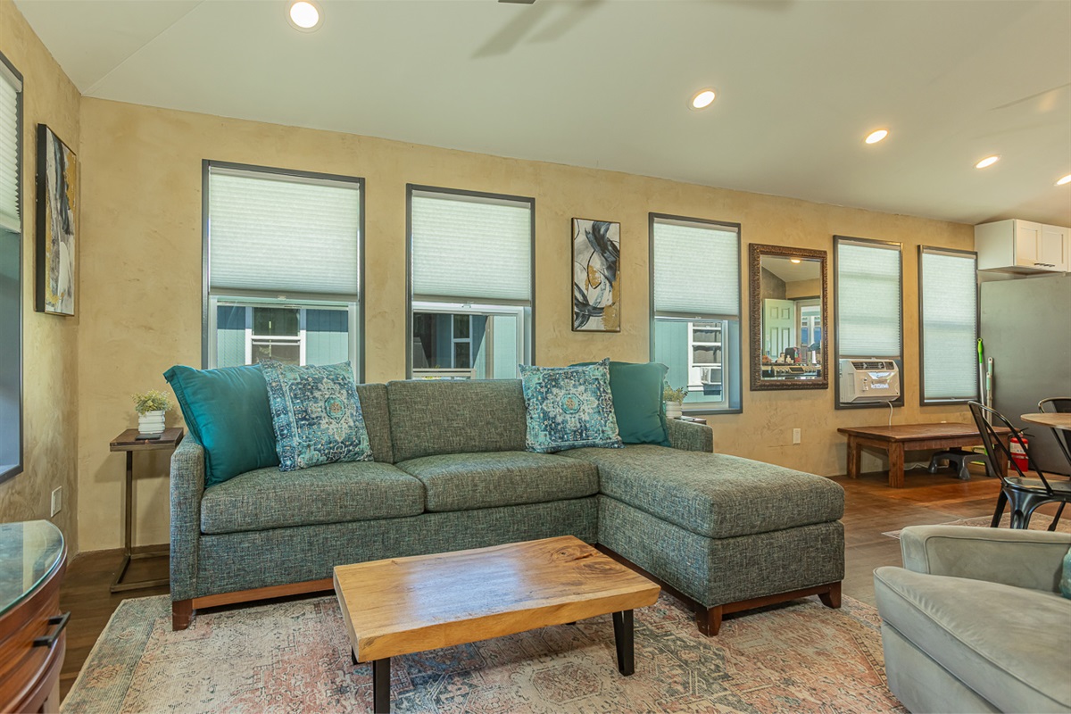 Luxe Sleeper Sectional and Recliner