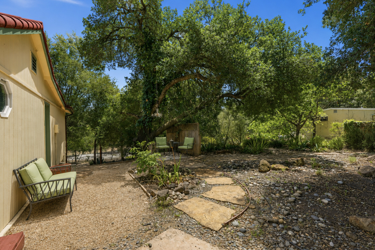 Peaceful garden surrounded by mature trees