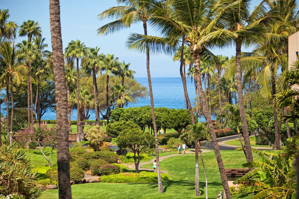Beautifully maintained tropical grounds