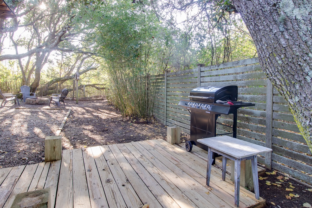 Propane Grill & Wood Fire Pit