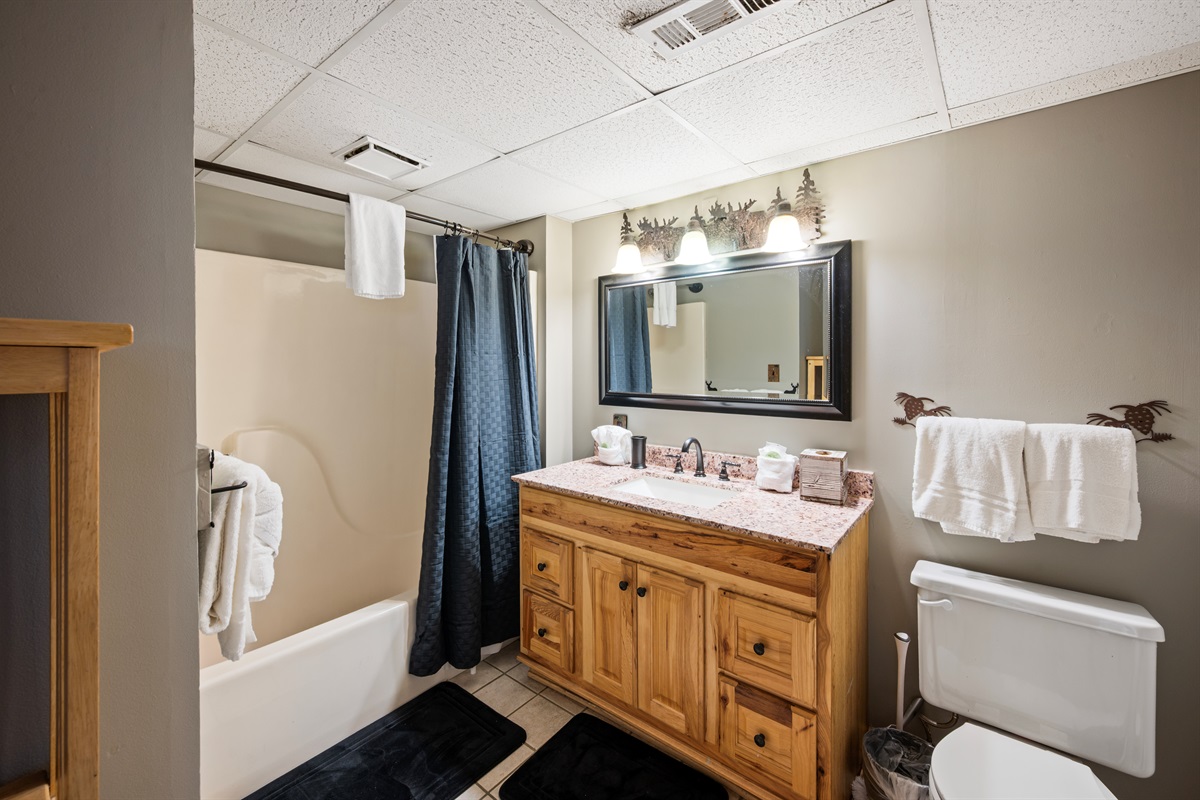Shower Tub Combo