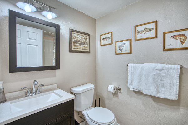 Lower Bathroom with Tub & Shower