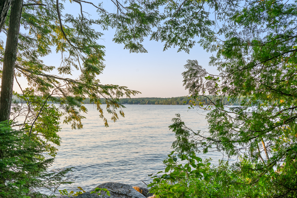 Front shoreline look at Loonrise Point! Evergreen branches frame panoramic views across the calm waters of Beech Hill Pond in Otis, ME. Natural granite rocks line the shore—a serene spot for morning coffee or sunset watching on your private point.