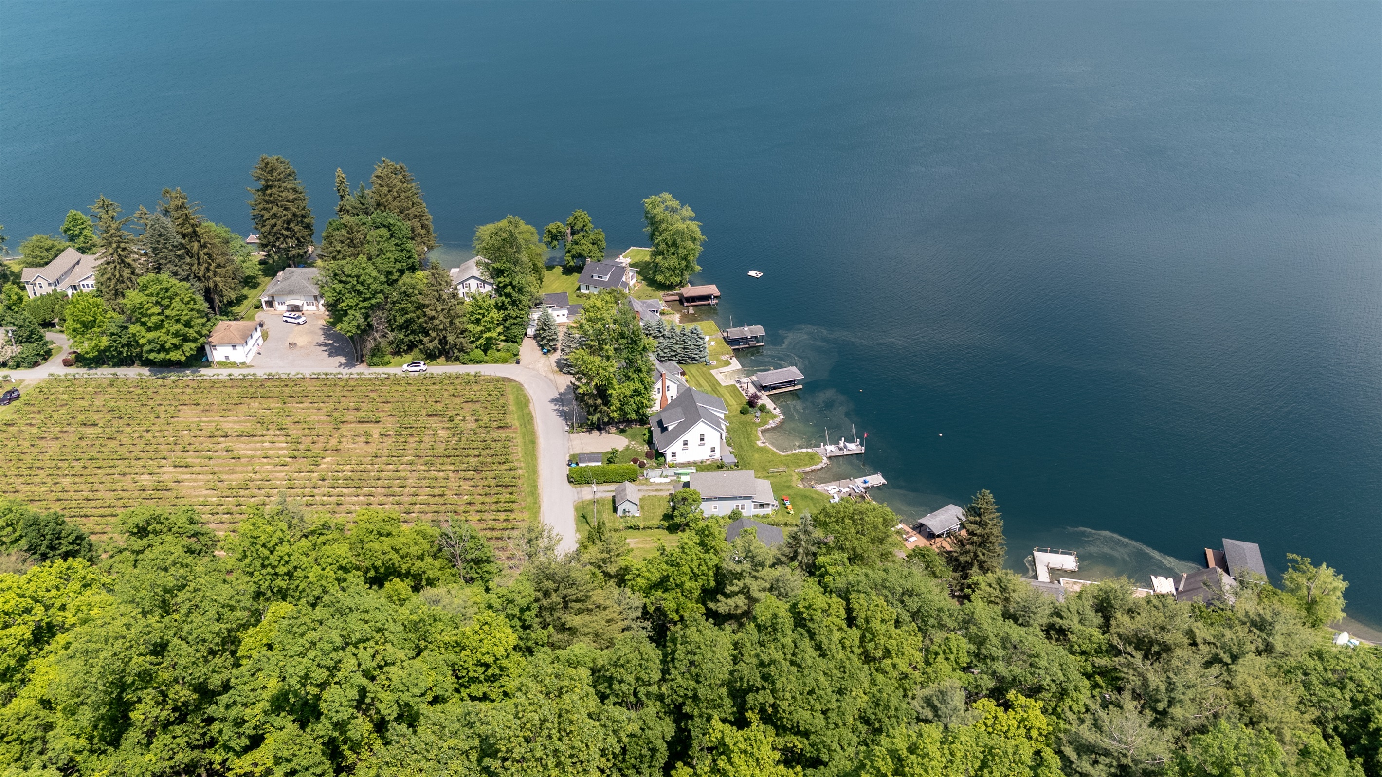 Scenic vineyard rows stretch toward sparkling blue waters, with cozy lakefront homes offering serene views and direct access to the lake.