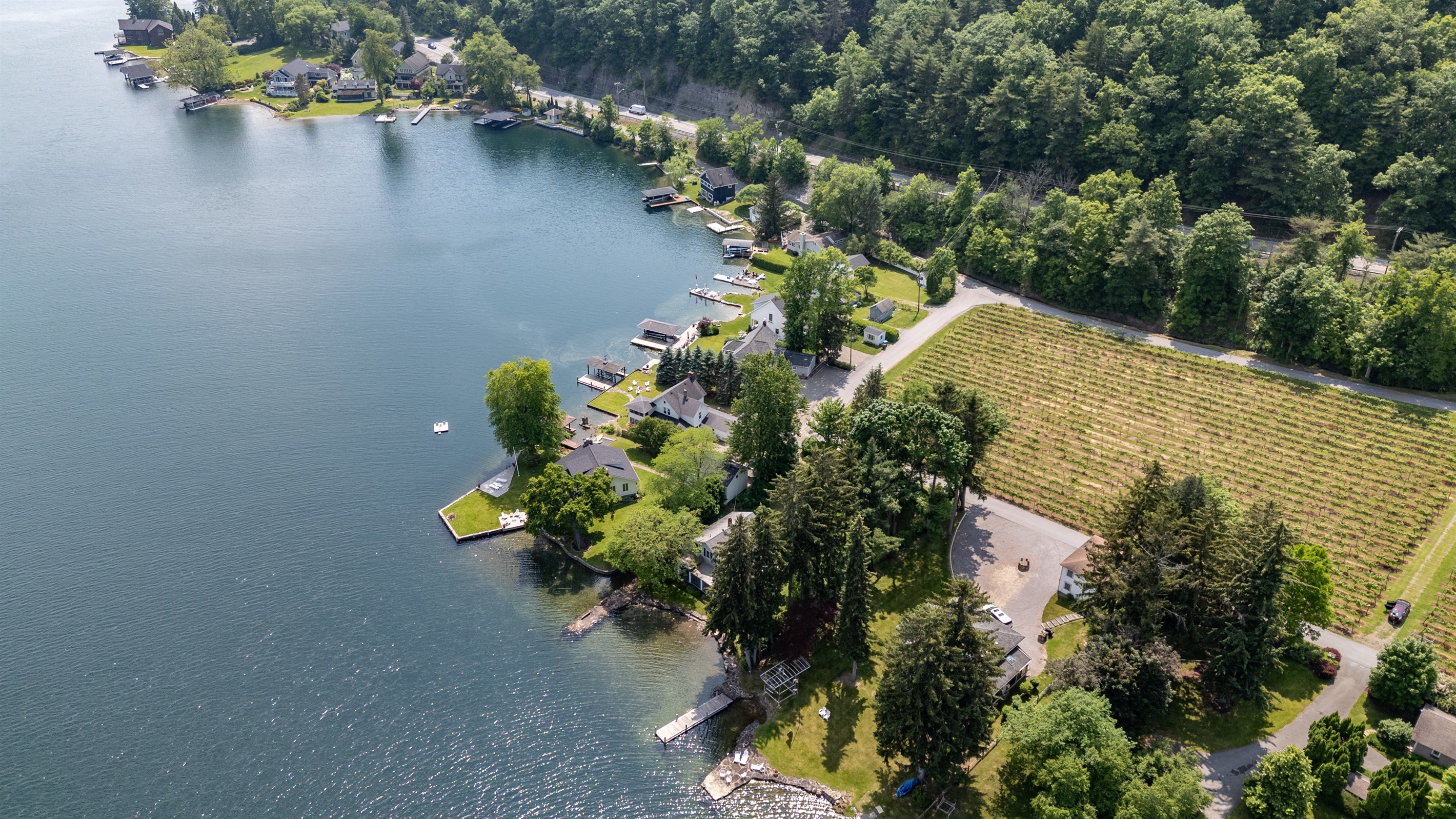 A stunning aerial view of lakeside living meets vineyard charm—private docks, waterfront homes, and lush grape rows create the perfect Finger Lakes retreat.