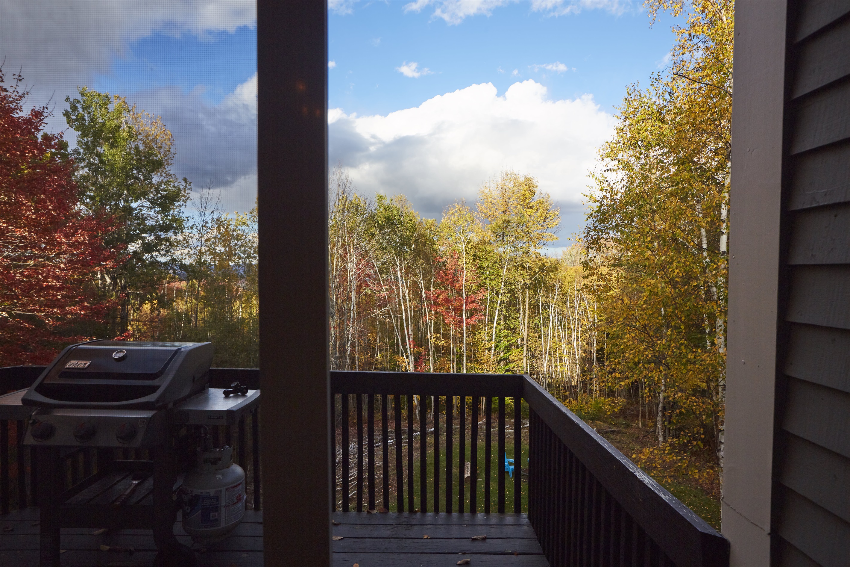 Enjoy stunning views from the deck, where you can soak in the fresh mountain air.