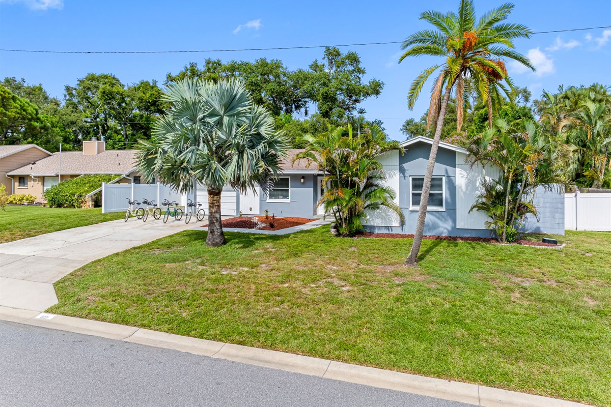 Front Yard