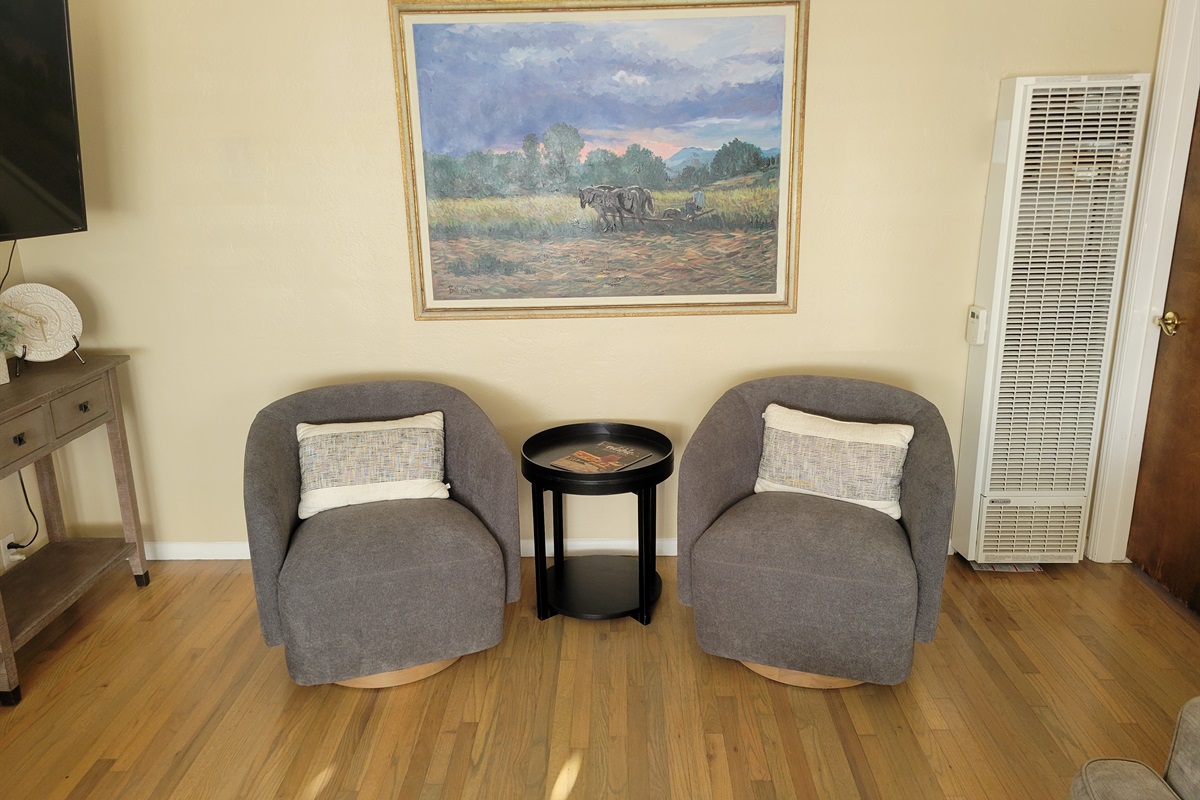 new chairs in place of love seat